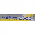 썬스타 SUNSTAR 약용 메디카 알맹이 소금 치약 170g