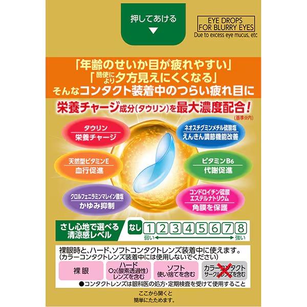 로토 V로트 골드 40 콘택트 마일드 점안액 20 ml